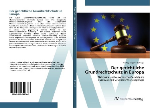 Der gerichtliche Grundrechtschutz in Europa