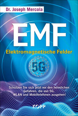EMF - Elektromagnetische Felder_small