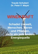 Windkraft_small