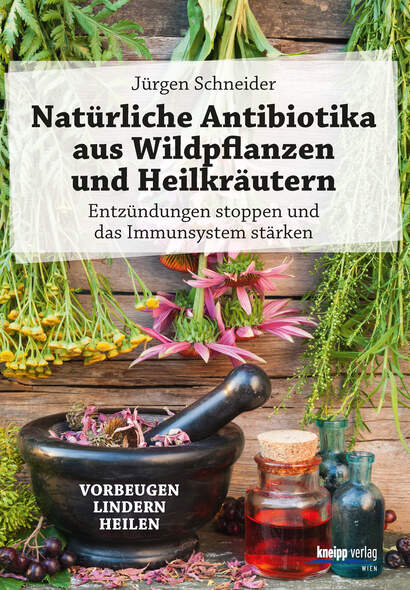 Natürliche Antibiotika aus Wildpflanzen und Heilkräutern